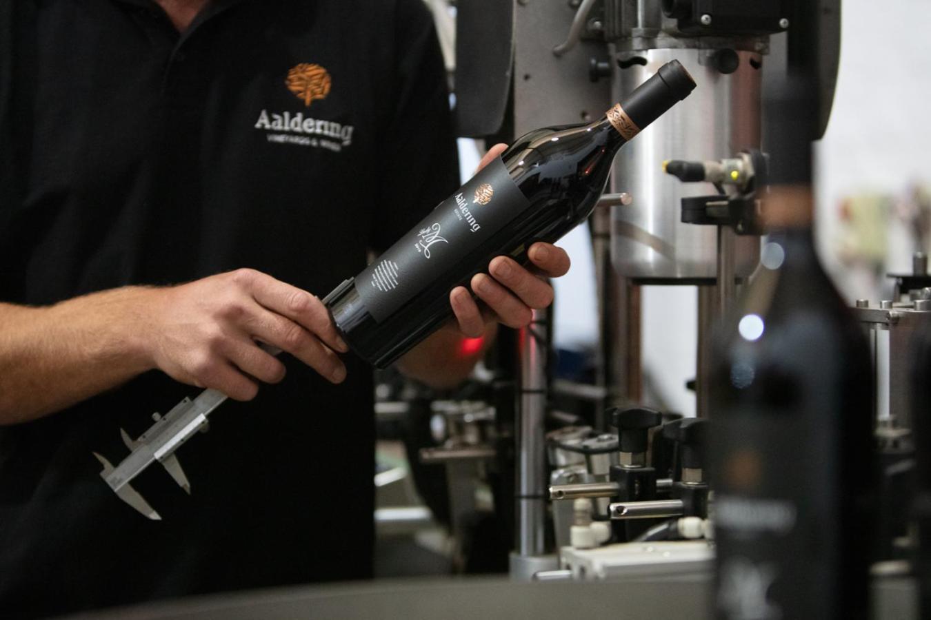 Aaldering Luxury Lodges Stellenbosch Kültér fotó